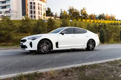 Kia Stinger: Тест-драйв самой быстрой и стильной Kia в истории - Российская  газета