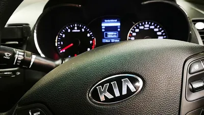 Купить Kia Sorento коричневый металлик 2015 года с пробегом 130000 км в г  Набережные Челны: кузов внедорожник, акпп, полный привод, дизель, левый  руль, отличное состояние