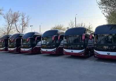 Китайский премиальный бренд Hongqi выпустил автобус - читайте в разделе  Новости в Журнале Авто.ру