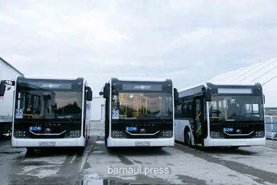 Как выглядят новые автобусы в Барнауле, где они ездят и сколько стоят - 12  июля 2023 - ngs22.ru
