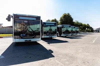 В Ростове с 1 августа начали работать китайские автобусы
