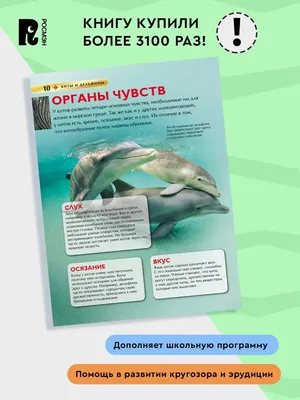 Эти удивительные акулы, киты и дельфины - купить с доставкой по выгодным  ценам в интернет-магазине OZON (400399062)