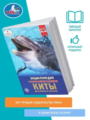 Читать онлайн «Дельфины и киты», Юлия Дунаева – Литрес