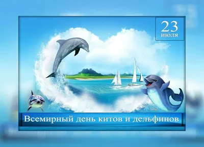 Вода России» поздравляет с Днем китов и дельфинов! - ВОДА РОССИИ