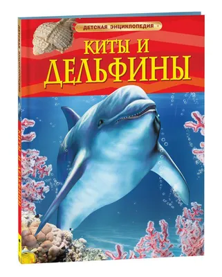Киты и дельфины – властелины морских глубин | 26.07.2022 | Архангельск -  БезФормата
