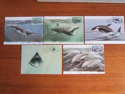 Подводный мир детализация киты …» — создано в Шедевруме