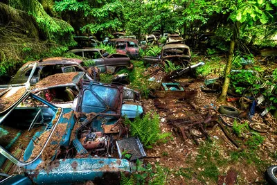 История исчезнувшего автомобильного кладбища в Бельгии - Quto.ru