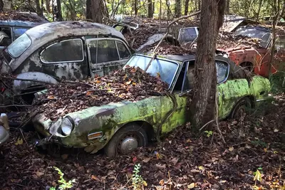В лесу обнаружили гигантское кладбище классических автомобилей — Motor