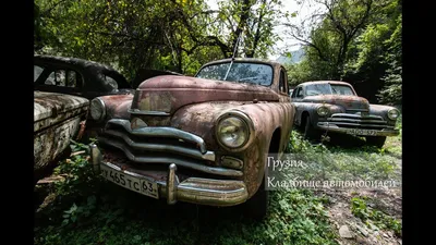 В Киеве обнаружили жуткое кладбище автомобилей: фото