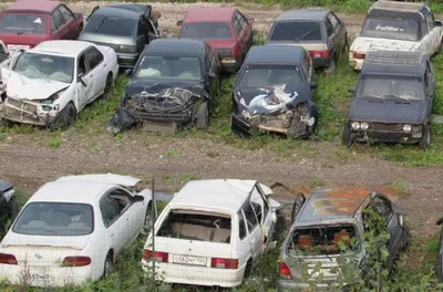 В России нашли кладбище брошенных иномарок — Motor
