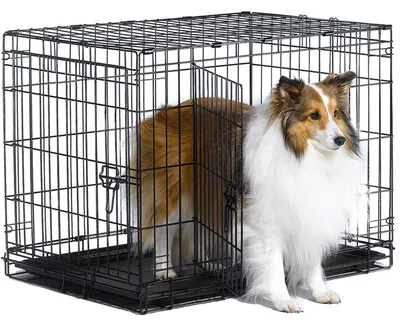 Клетка для собаки в квартире. Зачем нужна и как выбрать?