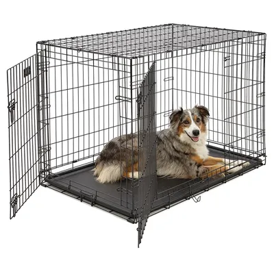 Складной ящик для собак и кошек, металлическая клетка с лотком, с  проволокой, для упражнений и упражнений | AliExpress
