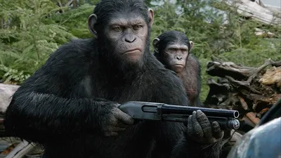 Планета обезьян: Революция (Dawn of the Planet of the Apes) - Страница 21 -  Форум на КиноПоиске