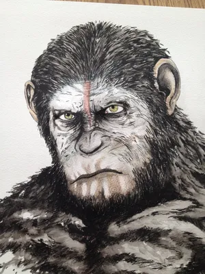 Планета обезьян игрушка фигурка Коба Rise Of The Planet Of The Apes