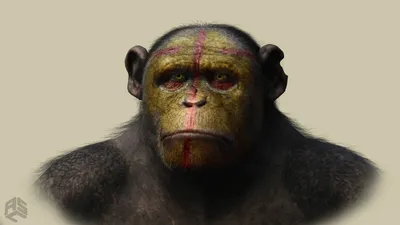 Планета обезьян, реалистично, эпизод: …» — создано в Шедевруме