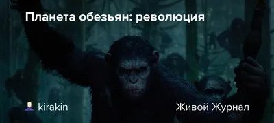 Тату планета обезьян (ФОТО) - trendymode.ru