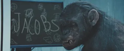 Планета обезьян: Революция / Dawn of the Planet of the Apes (2014, фильм) -  «Обезьяний грипп. Обезьяна не убьет обезяну. Начало и конец фильма .» |  отзывы