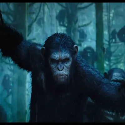 Восстание планеты обезьян (Фильм 2011) смотреть онлайн бесплатно трейлеры и  описание