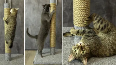 How to make a scratching post for cats with your own hands. My cats love  it! - YouTube