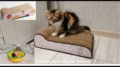 Домик-когтеточка для кошки своими руками — Идеи ремонта