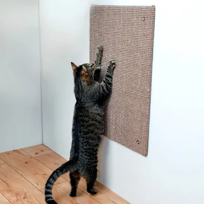 Когтеточка для кошки своими руками: чертежи, фото, размеры | KITEKAT™