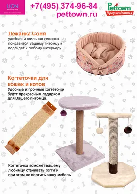 Домик-когтеточка для кошек / Когтеточки с домиком из ковролина / домик для  кошки купить по цене 3900 ₽ в интернет-магазине KazanExpress