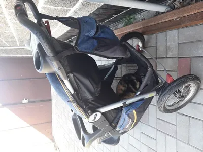 Детская прогулочная коляска, легкая коляска для кошек и собак, портативная  трехколесная коляска для домашних животных, универсальная Складная Съемная  коляска | AliExpress