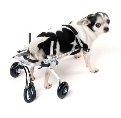 Поворотная на 360 градусов коляска для собак и кошек, легкие коляски для  путешествий, складная детская коляска, коляски для собак | AliExpress