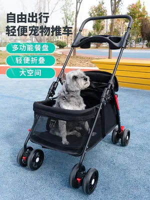 Зачем нужны коляски для животных? | PROpets | Дзен