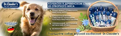 КОЛЯСОК ДЛЯ СОБАК 4 КОЛЕСА Розмір Л ХОБЕЙГОВЕ - docom.com.ua