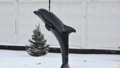 Самая страшная колония Оренбуржья «Чёрный дельфин» произвела продукции на  130 млн руб — Новости Оренбурга и области - 56orb