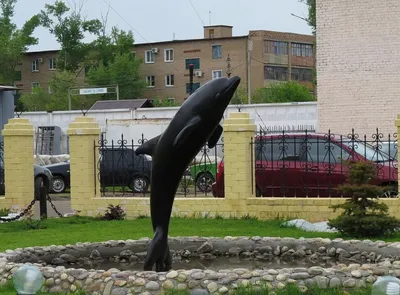 Чёрный дельфин» переводит заключённых под домашний арест на период карантина