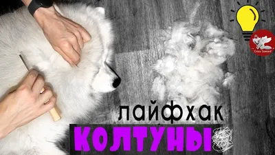 ВЕРНЫЙ ДРУГ АНТИКОЛТУН спрей кондиционер против колтунов для собак (100 мл)  купить в интернет-магазине по цене от 149 ₽, доставка по Москве