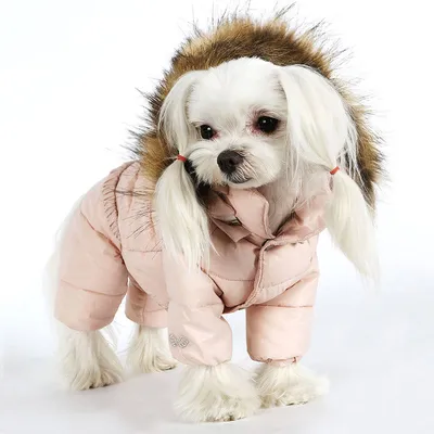 Куртки для больших собак, водонепроницаемая одежда для собак, теплое  флисовое пальто для домашних животных, светоотражающий комбинезон для  щенка, французский бульдог, лабрадор – купить по низким ценам в  интернет-магазине Joom