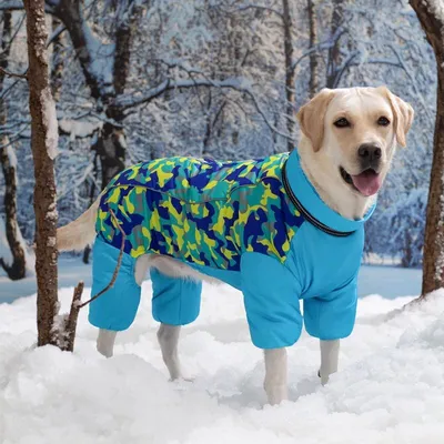 Комбинезон зимний для крупных собак с закрытым животом (одежда для собак),  размер XL - купить с доставкой по выгодным ценам в интернет-магазине OZON  (434541139)