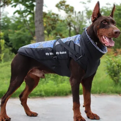 Зимняя одежда для собак, непромокаемые куртки для крупных собак - купить с  доставкой по выгодным ценам в интернет-магазине OZON (1320869430)