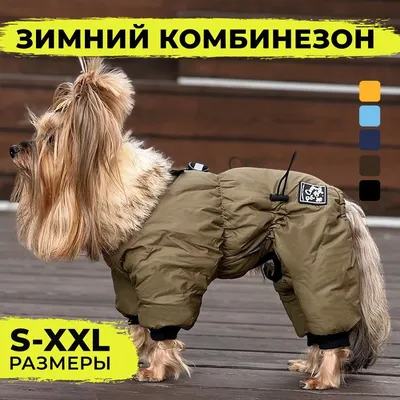 Одежда для маленьких собак, осень-зима, теплый флисовый рождественский  костюм для собаки, комбинезон, пальто для щенка, куртка, комбинезоны для  собак, одежда для чихуахуа, мопса – лучшие товары в онлайн-магазине Джум Гик