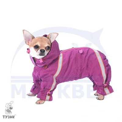 Комбинезон для собак Pet Fashion Glory одежда для животных