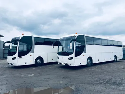 Комфортабельные автобусы Скания (50 мест) от novotrans.ru