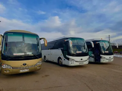 Видео: в Ташкенте запустили новые комфортабельные автобусы