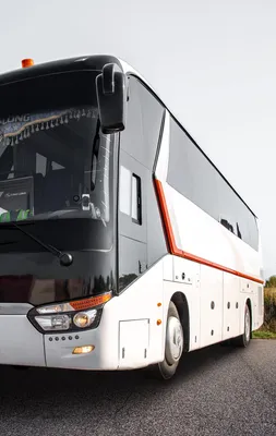 Компания «Comfort Express Inc» - комфортабельные автобусные туры по США