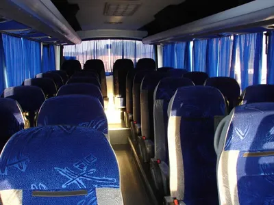 Новые комфортабельные автобусы ЛиАЗ вышли на маршрут Пущино‑Серпухов /  Новости / Администрация городского округа Пущино