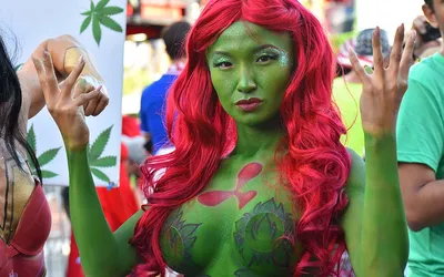 At Rose City Comic Con, cosplayers come together in Portland - OPB