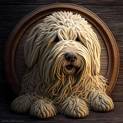 Комондор: фото собаки, описание и характер породы — Purina ONE®