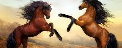 Пазл Две лошади на дыбах в альбоме Животные на TheJigsawPuzzles.com