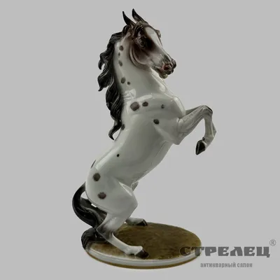 Фигура \"Конь на дыбах\" бронза, 24х27х37см - купить в РусЭкспресс, цена на  Мегамаркет