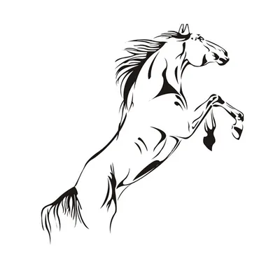 Лошадь на дыбах рисунок - 27 фото