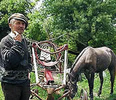 Откуда в СССР появилось выражение \"конь педальный\". Увидел его собственными  глазами и показываю | TravelManiac | Дзен