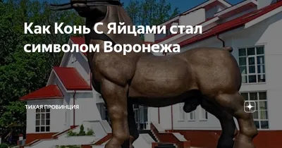 конь #жеребец #horse #лошадь | Центр кастрации жеребцов | ВКонтакте