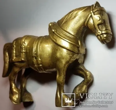 10 знаменитых пород русских лошадей
